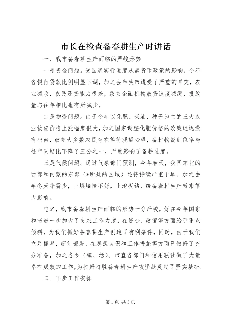 市长在检查备春耕生产时讲话.docx