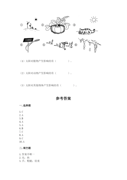 教科版科学二年级上册期末考试试卷（考点梳理）.docx