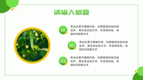 黄绿色几何实景乡村振兴新篇章PPT模板