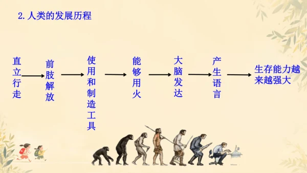 初中生物学人教版（新课程标准）七年级下册4.1.1 人的起源和发展课件(共18张PPT)