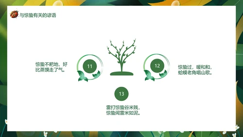 七星瓢虫惊蛰PPT模板