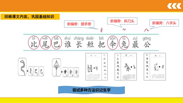 6 比尾巴  课件