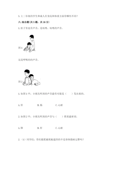 教科版二年级下册科学期末测试卷带答案（精练）.docx