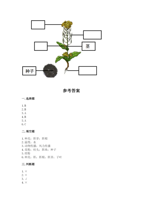 教科版四年级下册科学第一单元《植物的生长变化》测试卷【轻巧夺冠】.docx