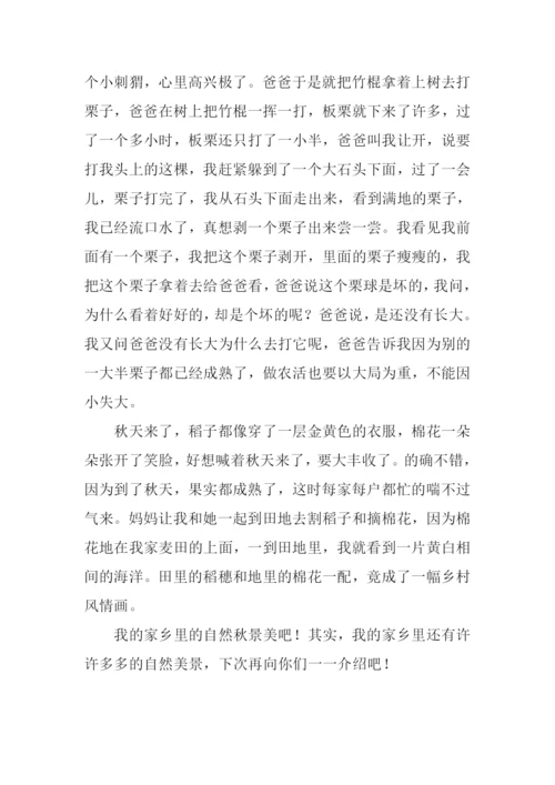 家乡的秋天作文600字-11.docx
