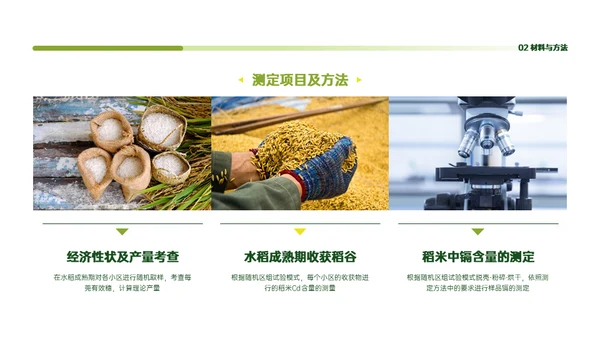 稻谷麦穗增产农作物与重金属污染通用PPT模板