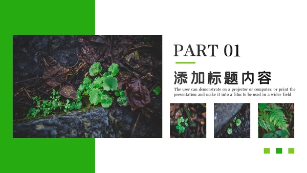 唯美绿色植物发芽植物生长敬畏生命PPT模板