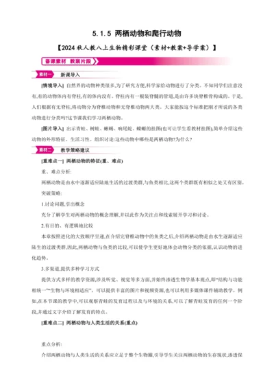 5.1.5 两栖动物和爬行动物【2024秋人教八上生物精彩课堂（素材+教案+导学案）】