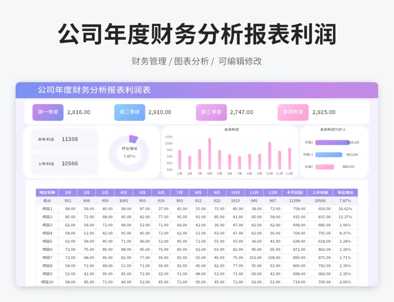 公司年度财务分析报表利润表