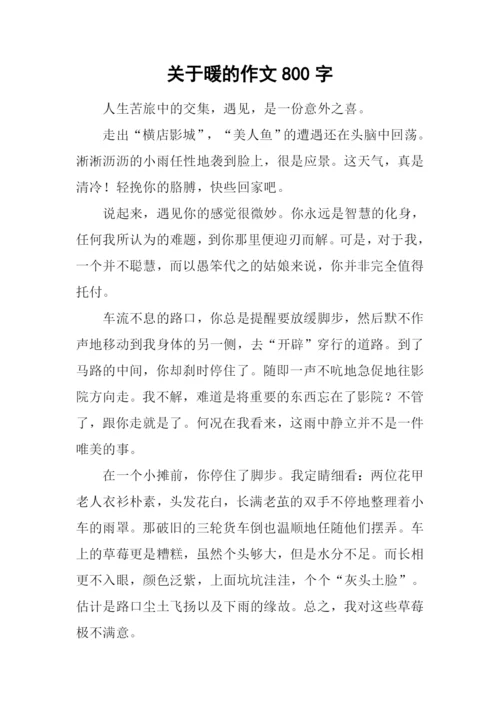 关于暖的作文800字.docx