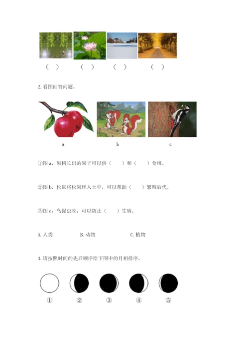 教科版二年级上册科学期末测试卷附答案（精练）.docx