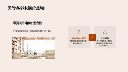 寒露季节的自然奥秘