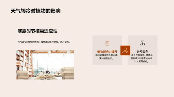 寒露季节的自然奥秘