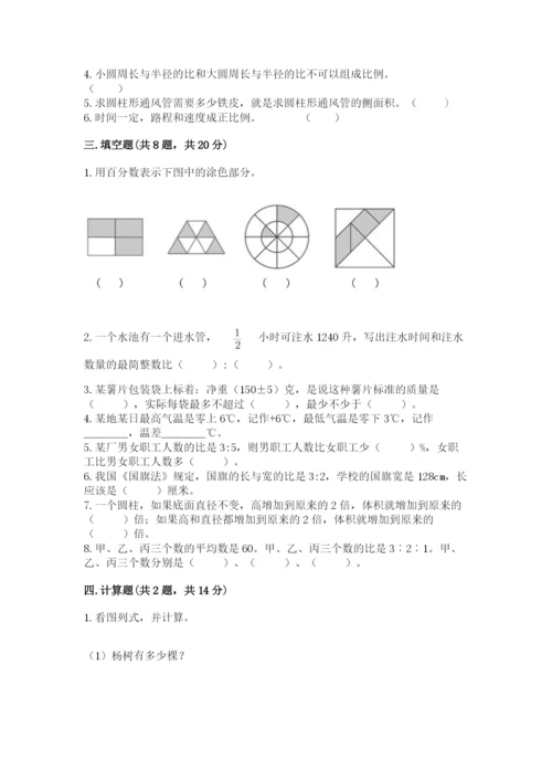 北宁市六年级下册数学期末测试卷（名师系列）.docx