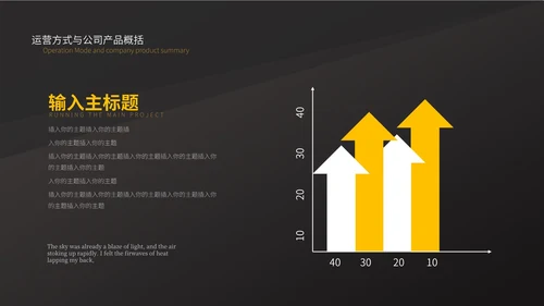 黑色简约商业计划书PPT模板