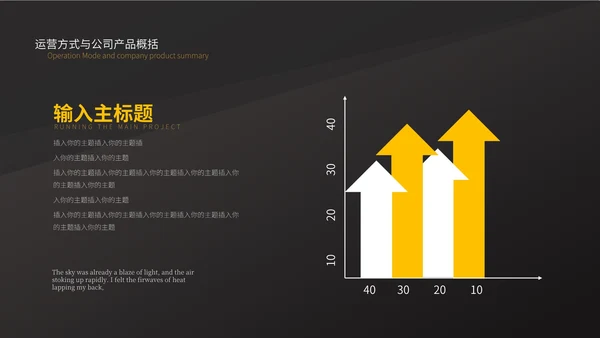 黑色简约商业计划书PPT模板