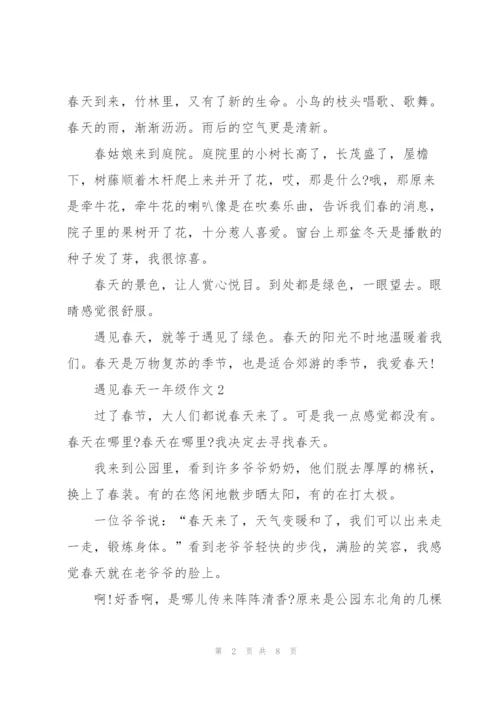 遇见春天一年级作文5篇.docx