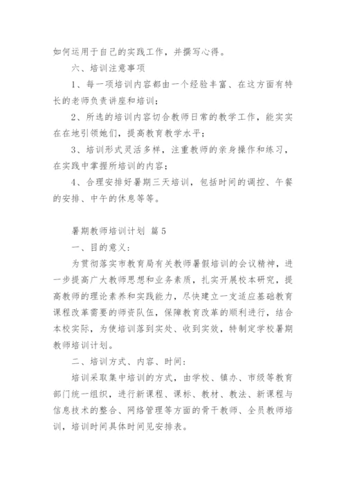 暑期教师培训计划.docx