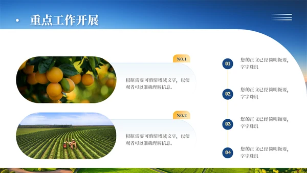 乡村振兴项目工作汇报通用PPT模板