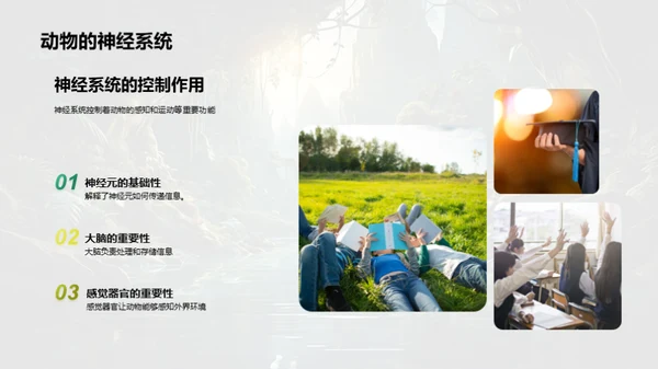 探秘动物世界