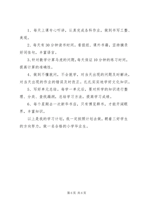 新学斯计划总结20XX年精选范文.docx