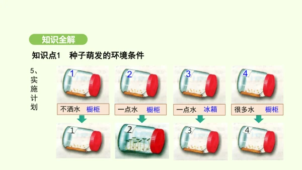 第三单元-第一章-第一节-种子的萌发课件-2024-2025学年七年级生物下学期人教版(2024)(