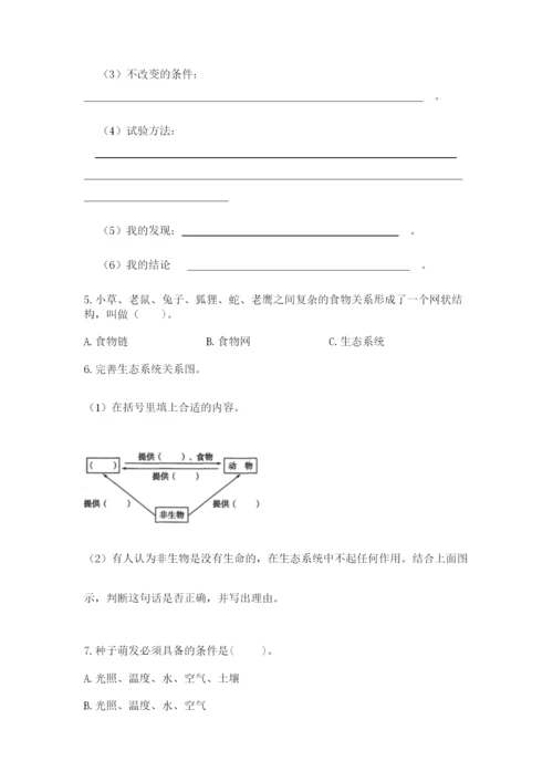 教科版科学五年级下册第一单元《生物与环境》测试卷附完整答案（全优）.docx