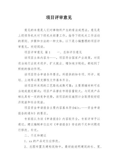 项目评审意见.docx