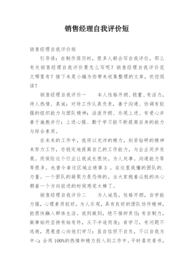 销售经理自我评价短.docx