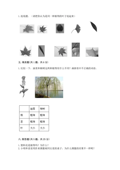 教科版科学一年级上册期末测试卷（名师系列）.docx