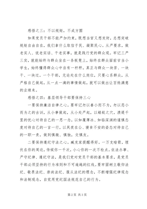 学习“三严三实”心得体会.docx