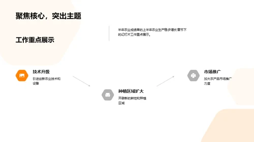 农业半年度报告