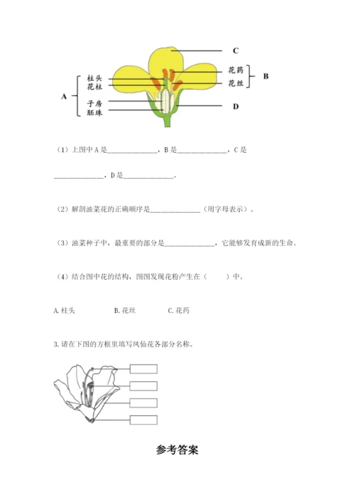 教科版四年级下册科学第一单元《植物的生长变化》测试卷精品（能力提升）.docx