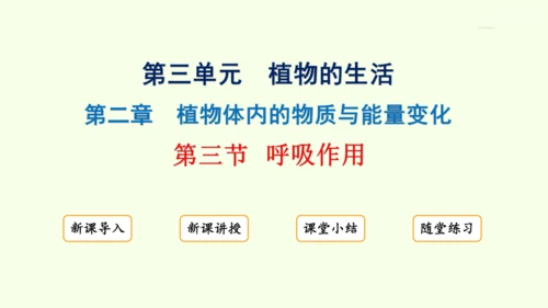 3.2.3呼吸作用-七年级生物下学期同步精品课件（2024人教版）(共24张PPT)