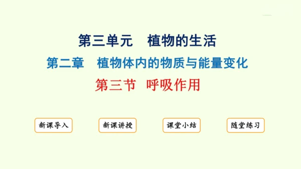 3.2.3呼吸作用-七年级生物下学期同步精品课件（2024人教版）(共24张PPT)