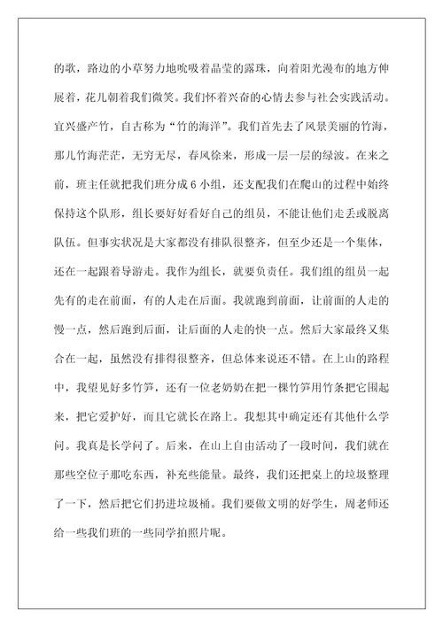 2022一次社会实践作文85
