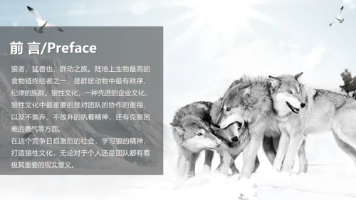 狼性文化通用PPT模板