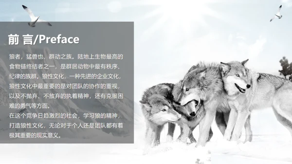 狼性文化通用PPT模板