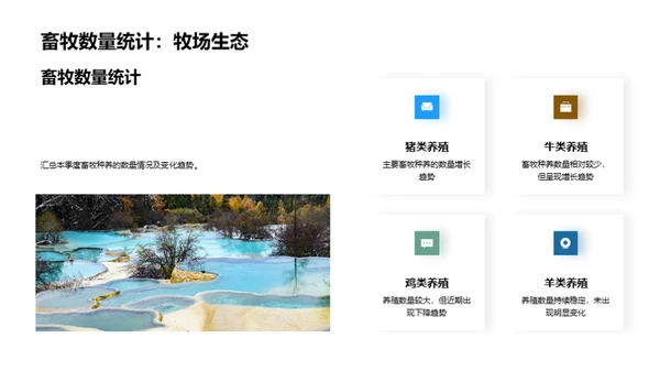 畜牧业季度绩效回顾