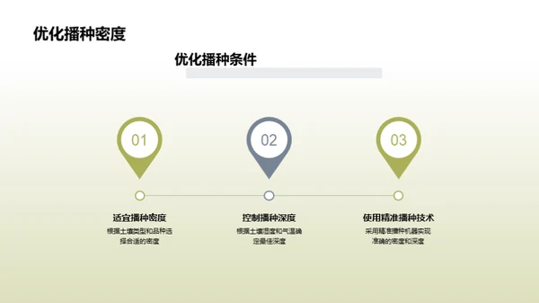 玉米高效种植新纪元