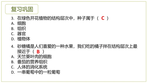 2.2.3植物体的结构层次 【说课课件】2023--2024学年人教版生物七年级上册(共42张PPT