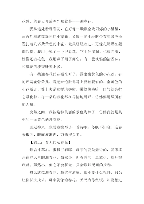 春天的迎春花作文400字.docx