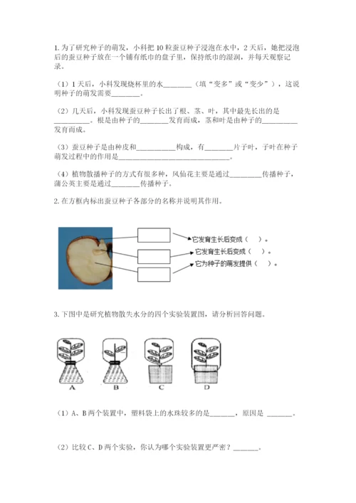 教科版四年级下册科学第一单元《植物的生长变化》测试卷精品【必刷】.docx