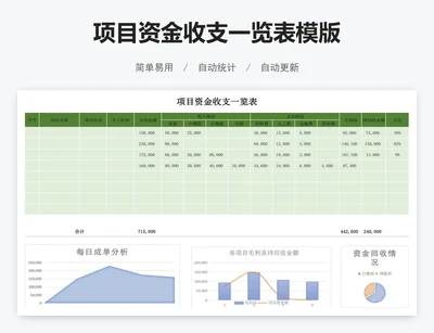 项目资金收支一览表模版