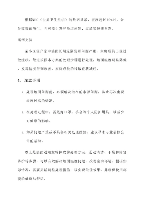 墙面返潮发霉掉皮处理方案