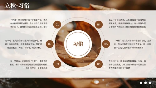 棕色简约商务立秋科普教学课件PPT模板