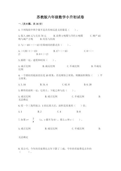 苏教版六年级数学小升初试卷（考点精练）.docx