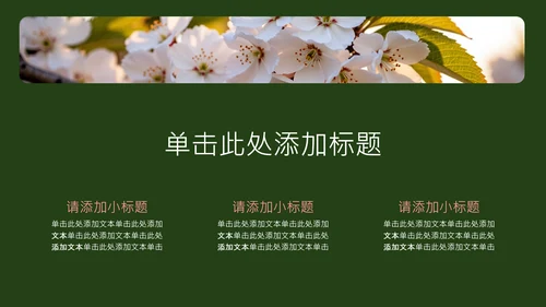粉绿色简约几何樱花介绍