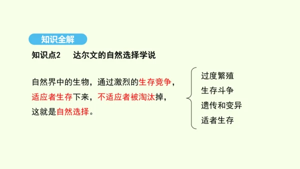 7.3.3生物进化的原因课件-人教版生物八年级下册(共37张PPT)