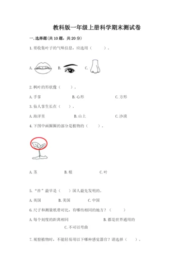 教科版一年级上册科学期末测试卷（历年真题）word版.docx